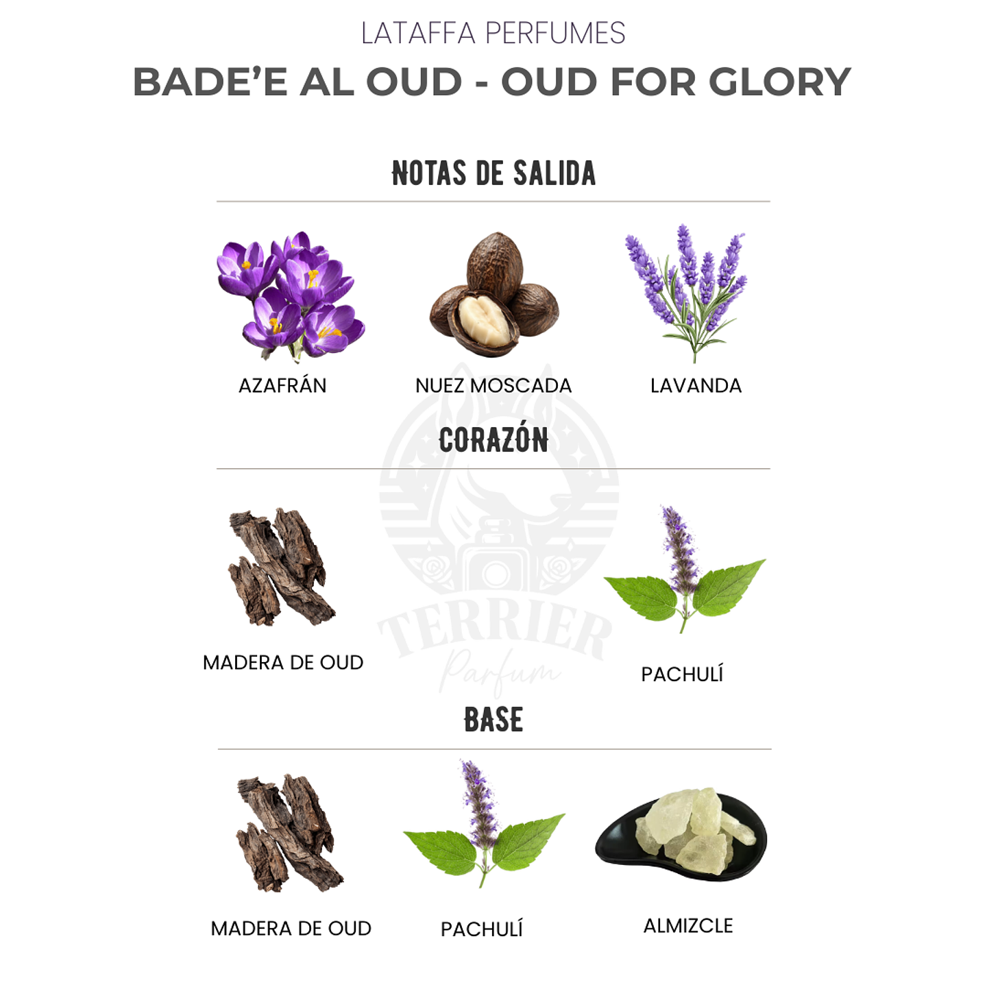 Perfume Oud For Glory (Bade’e Al Oud) 100 ml EDP Unisex – Lattafa  (Inspirado en Initio Oud for Greatness) 2