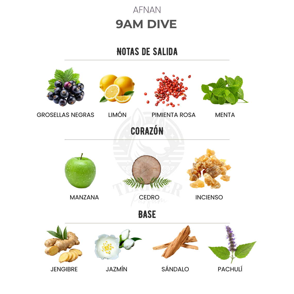 Perfume Afnan 9 AM Dive 100 ml EDP Unisex – Inspirado en Bleu de Chanel Edp 2