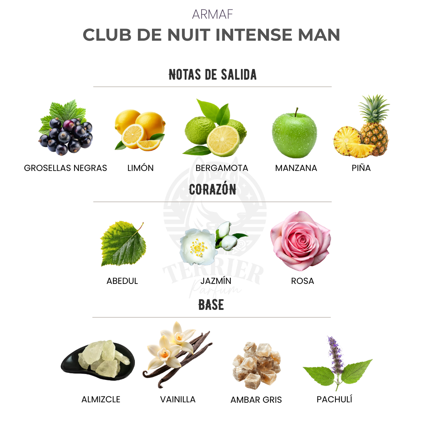 Perfume Club de Nuit Intense Man 105 ml EDT Hombre – Armaf (Inspirado en Creed Aventus) 2