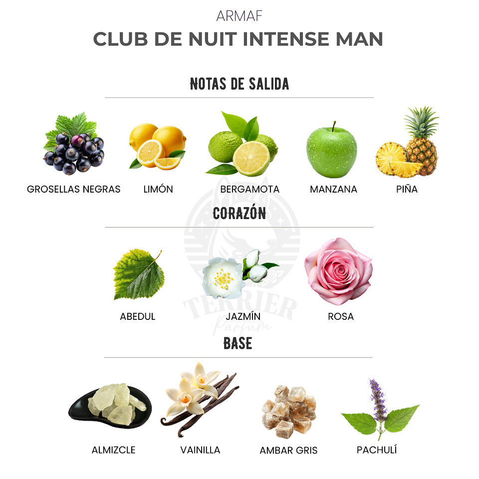 Perfume Club de Nuit Intense Man 105 ml EDT Hombre – Armaf (Inspirado en Creed Aventus) 2