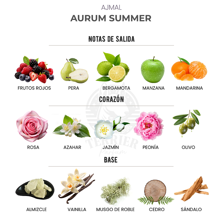 Perfume Ajmal Aurum Summer 75 ml EDP Mujer – Inspirado en L Imperatrice Limited Edition Dolce & Gabbana 2