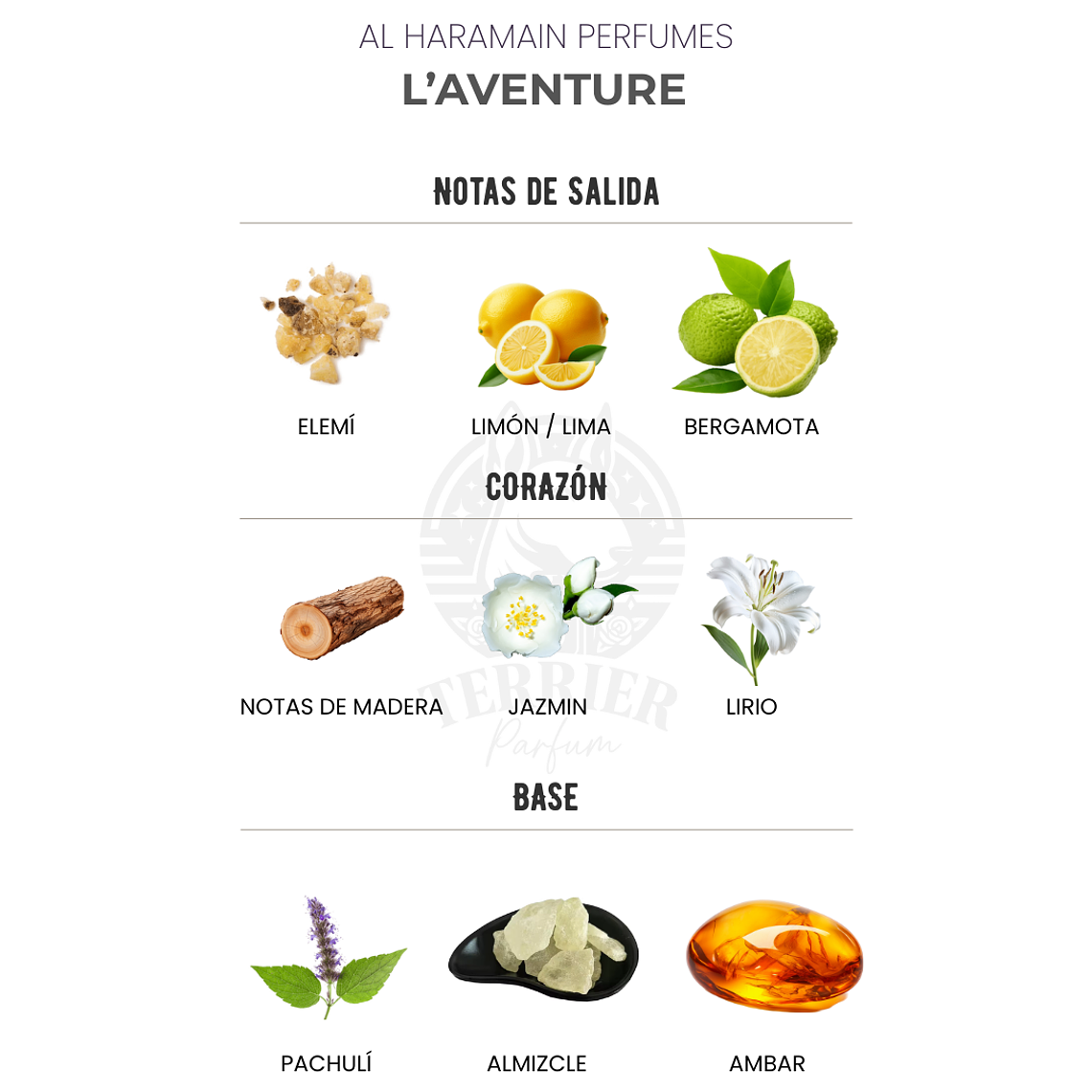 Perfume Al Haramain L’Aventure 100 ml EDP Hombre – Inspirado en Creed Aventus 2