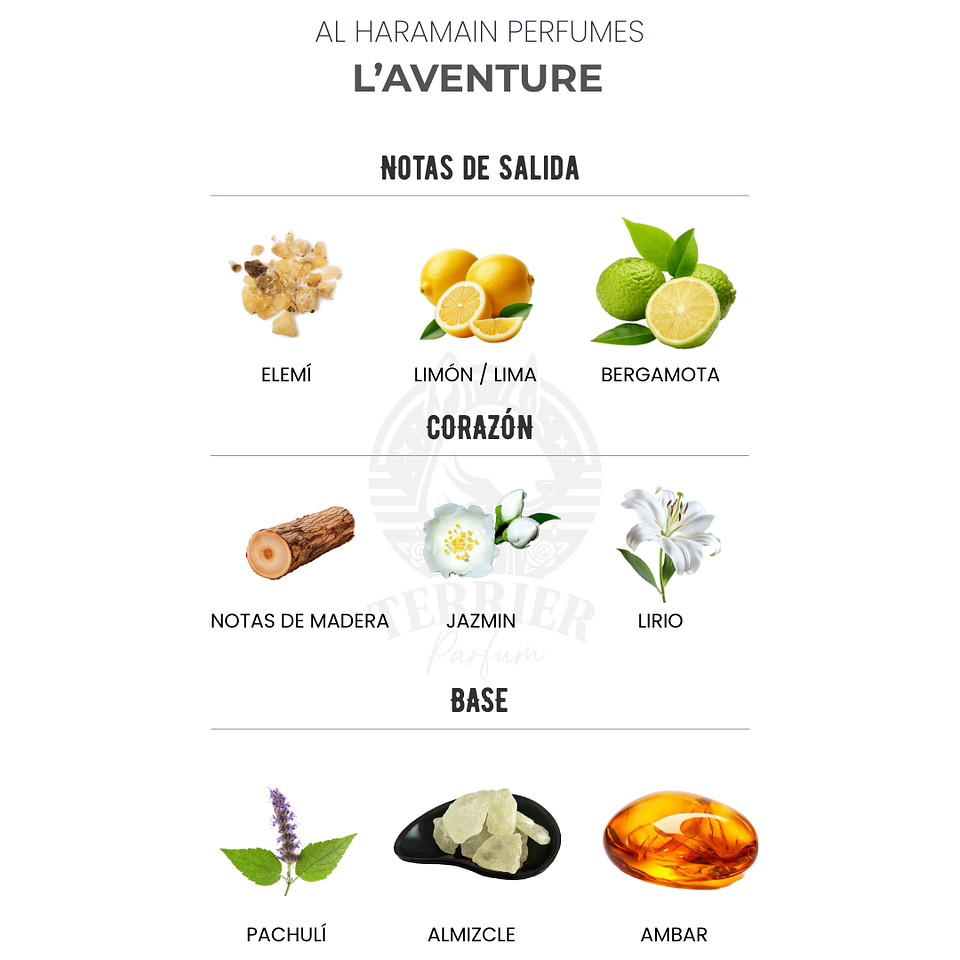 Perfume L’Aventure 100 ml EDP Hombre – Al Haramain (Inspirado en Creed de Aventus) 2