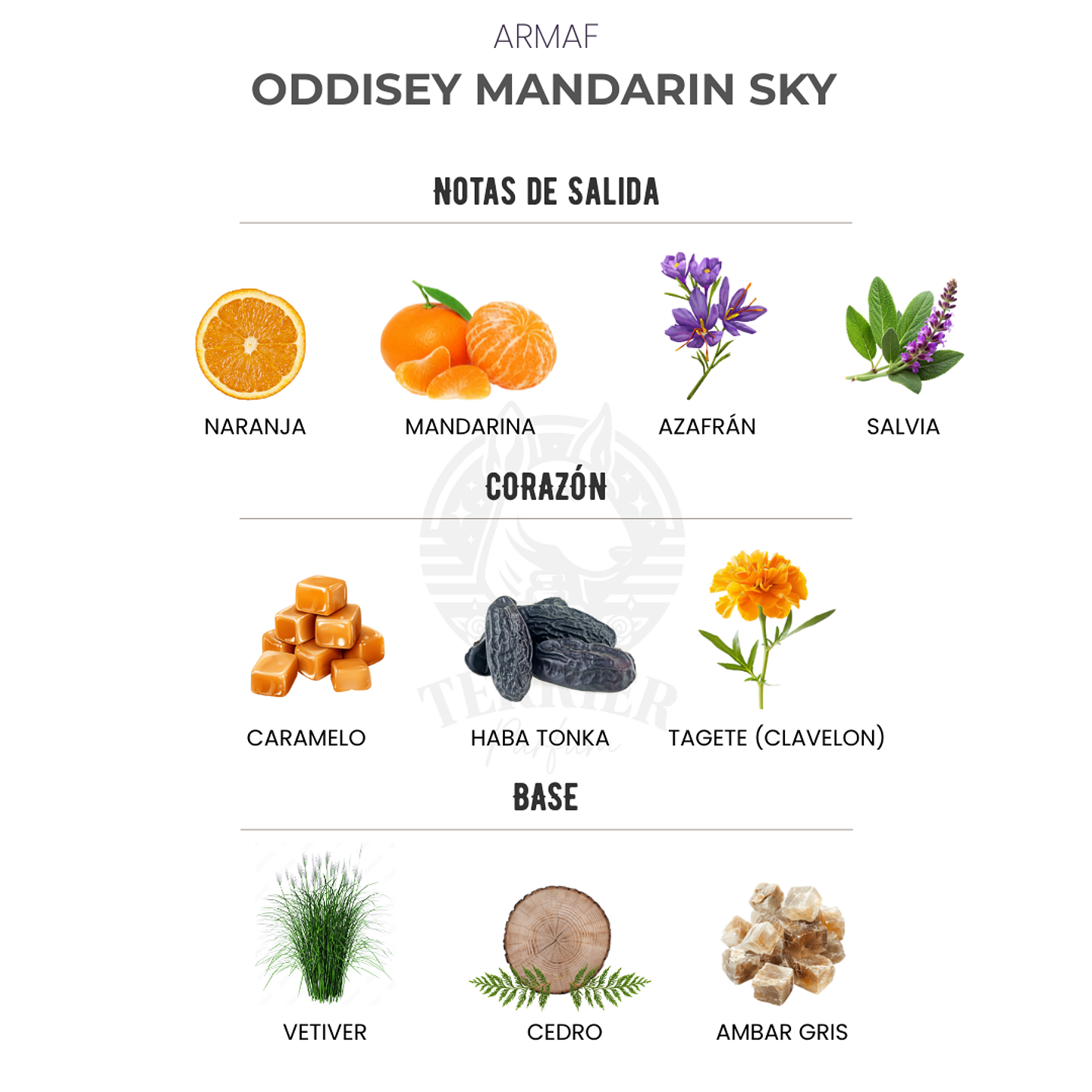 Perfume Odyssey Mandarin Sky EDP Hombre – Armaf (Inspirado en Jean Paul Gaultier Scandal Pour Homme) 2