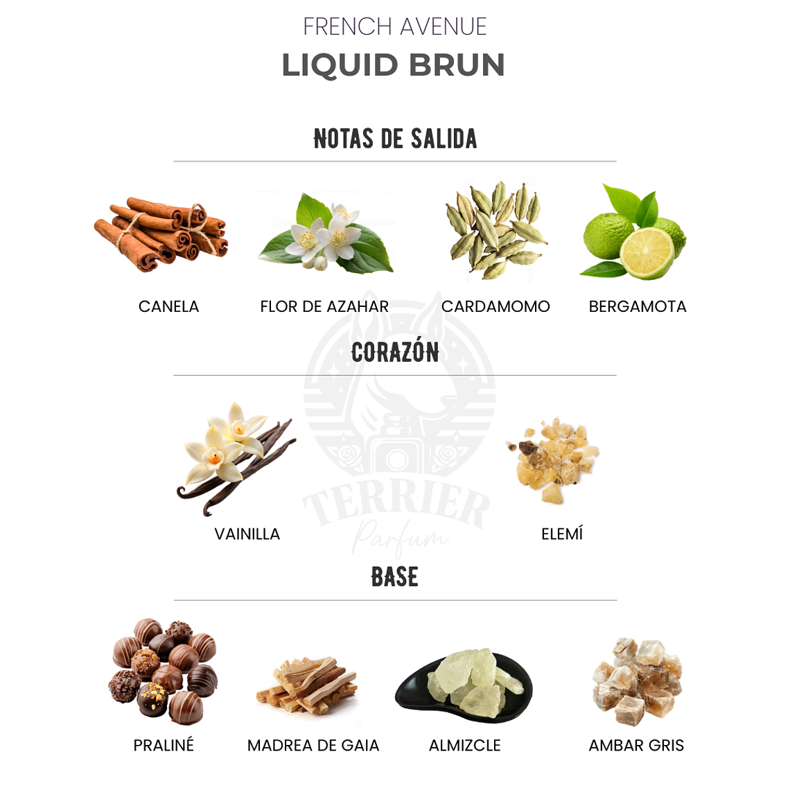 Perfume Liquid Brun French Avenue 100 ml EDP Hombre - Inspirado en Althair de Parfums de Marly 2