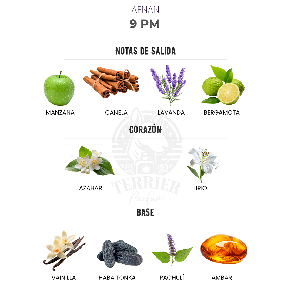 Perfume Afnan 9 PM 100 ml EDP Hombre – Inspirado en Jean Paul Gaultier Ultra Male 2