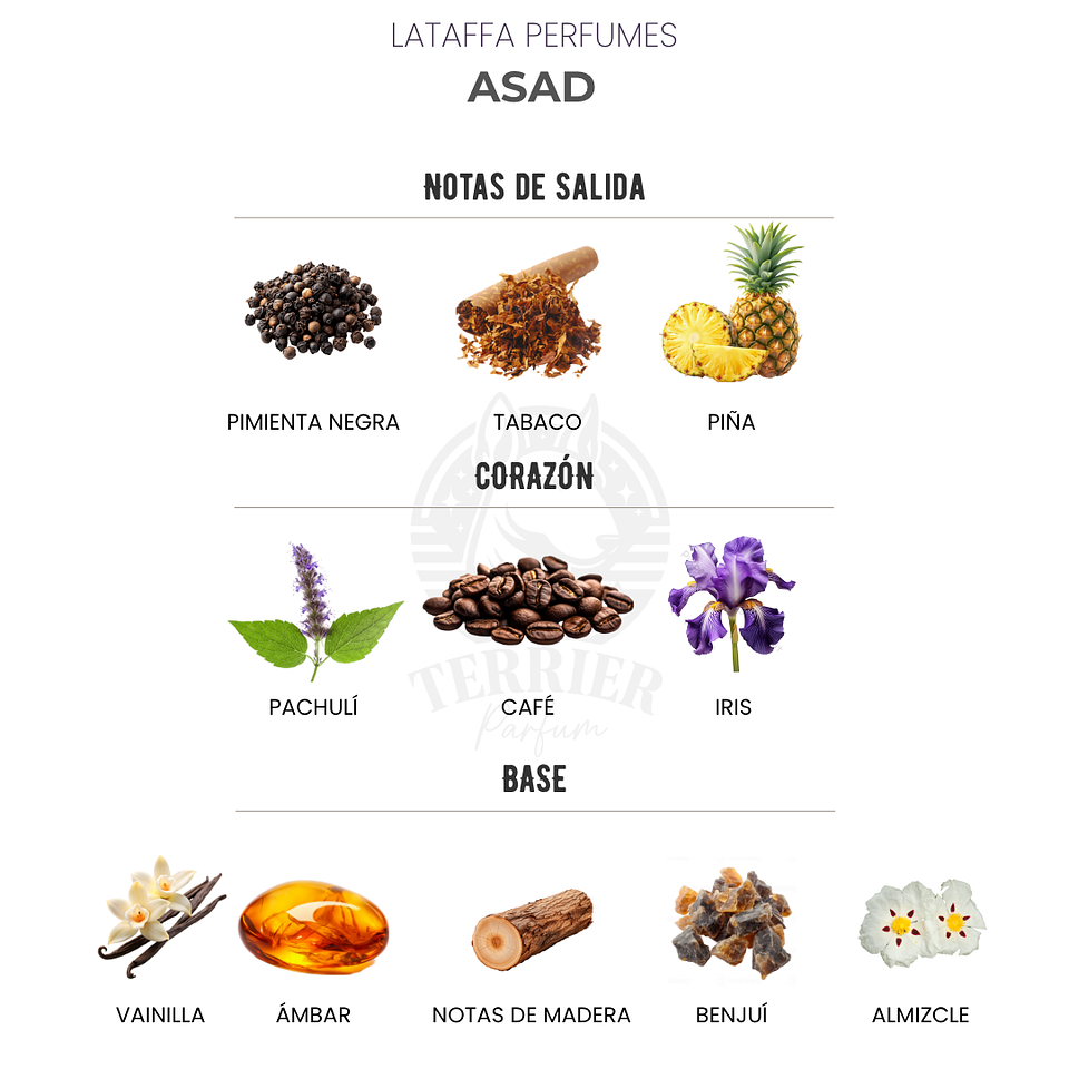 Perfume Asad 100 ml EDP Hombre – Lattafa (Inspirado en Dior Sauvage Elixir) 2