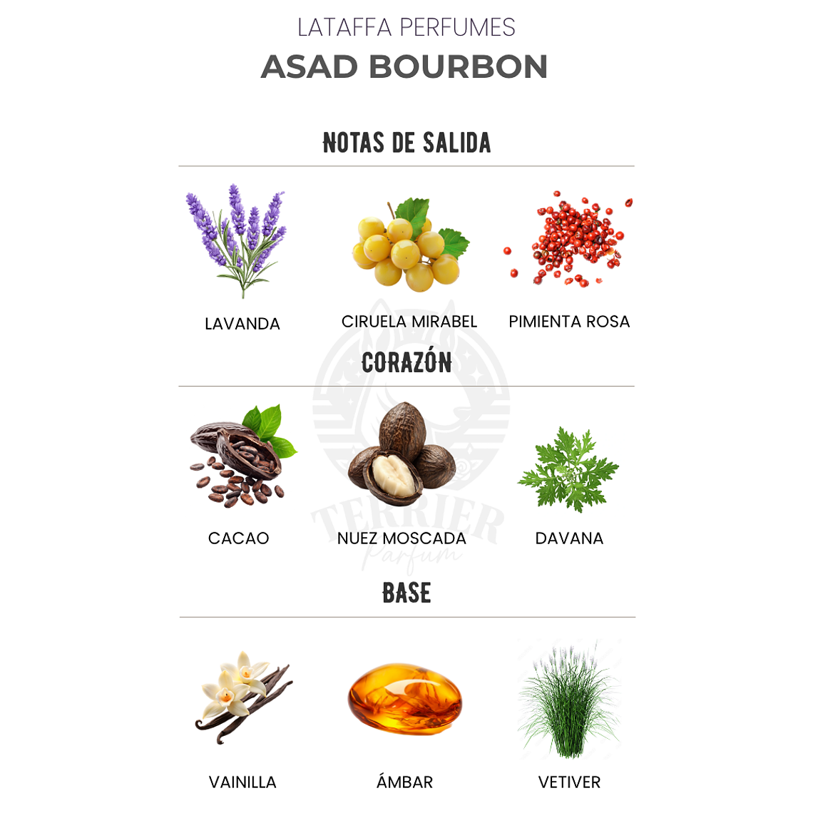 Perfume Lattafa Asad Bourbon 100 ml EDP Hombre – Inspirado en Azzaro The Most Wanted 2