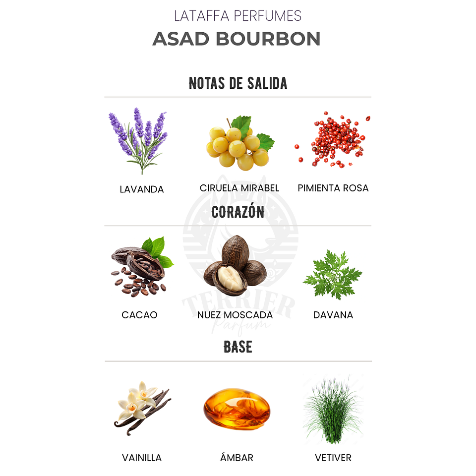 Perfume Asad Bourbon 100 ml EDP Hombre – Lattafa (Inspirado en Azzaro The Most Wanted) 2