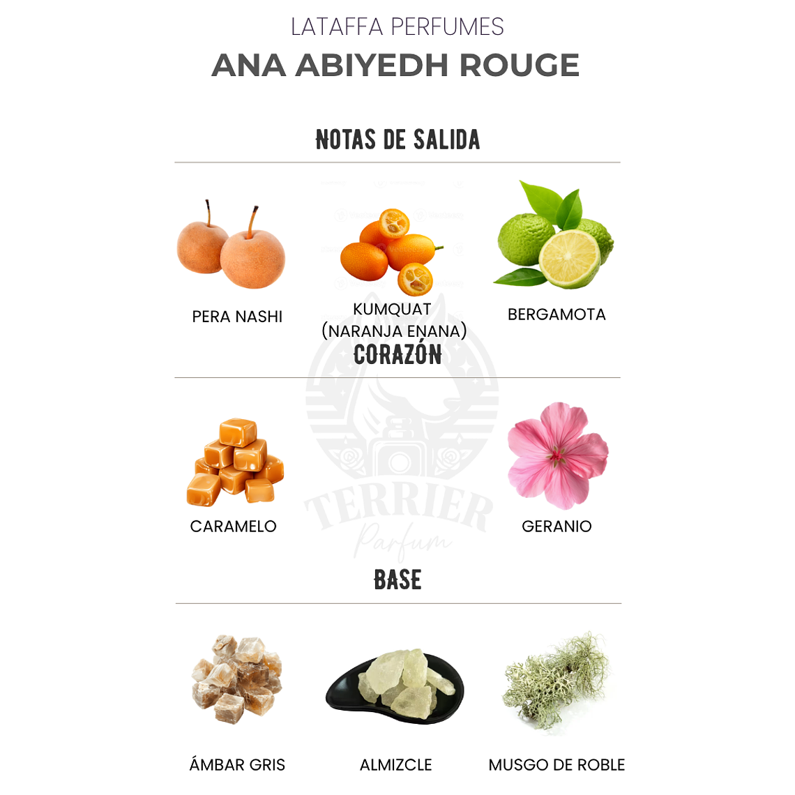 Perfume Ana Abiyedh Rouge Lattafa 60 ml EDP Unisex – Inspirado en Maison Francis Kurkdjian Baccarat Rouge 540 2