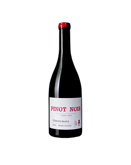 Ribeiro Santo - Pinot Noir