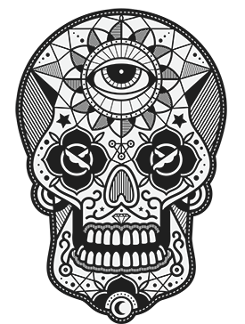 Polera Skull Can