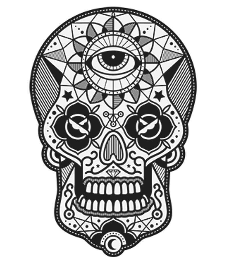 Polera Skull Can