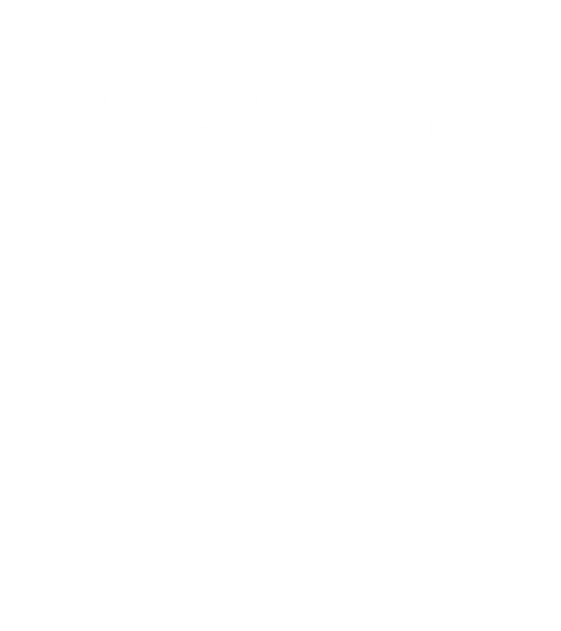 Polera Bruja de Halloween