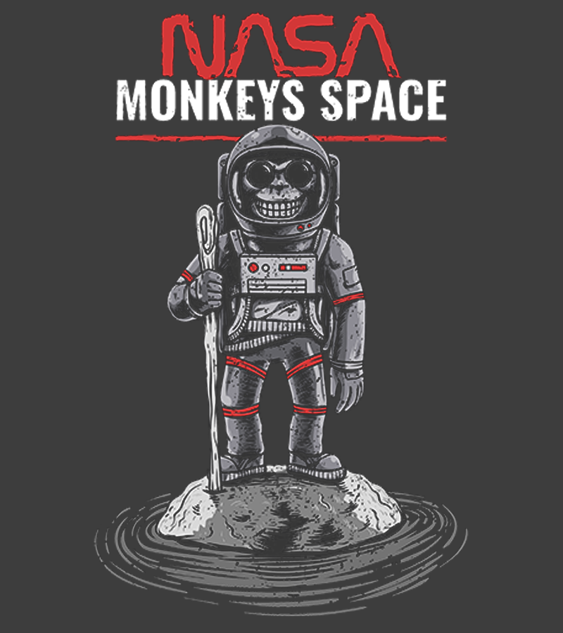 Polera Astronauta Monkey