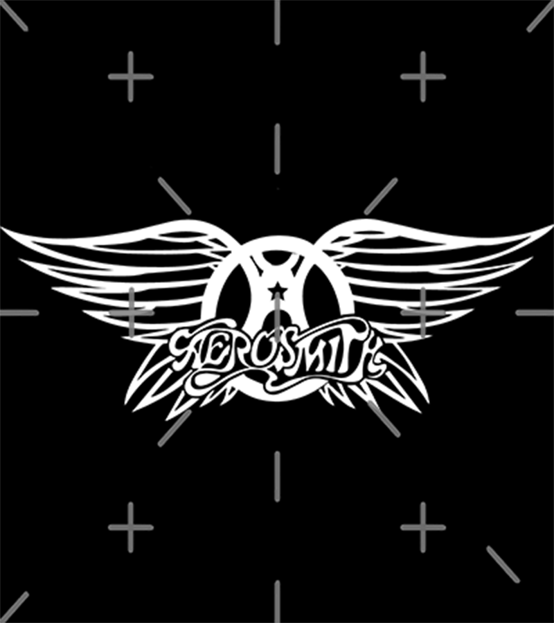 Polera Aerosmith Alas