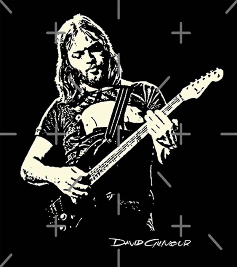 Polera David Gilmour