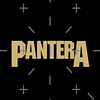 Polera Pantera Log Gold