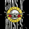 Polera Guns N' Roses Portada