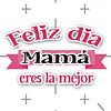 Polera Feliz Día Mamá Eres La Mejor