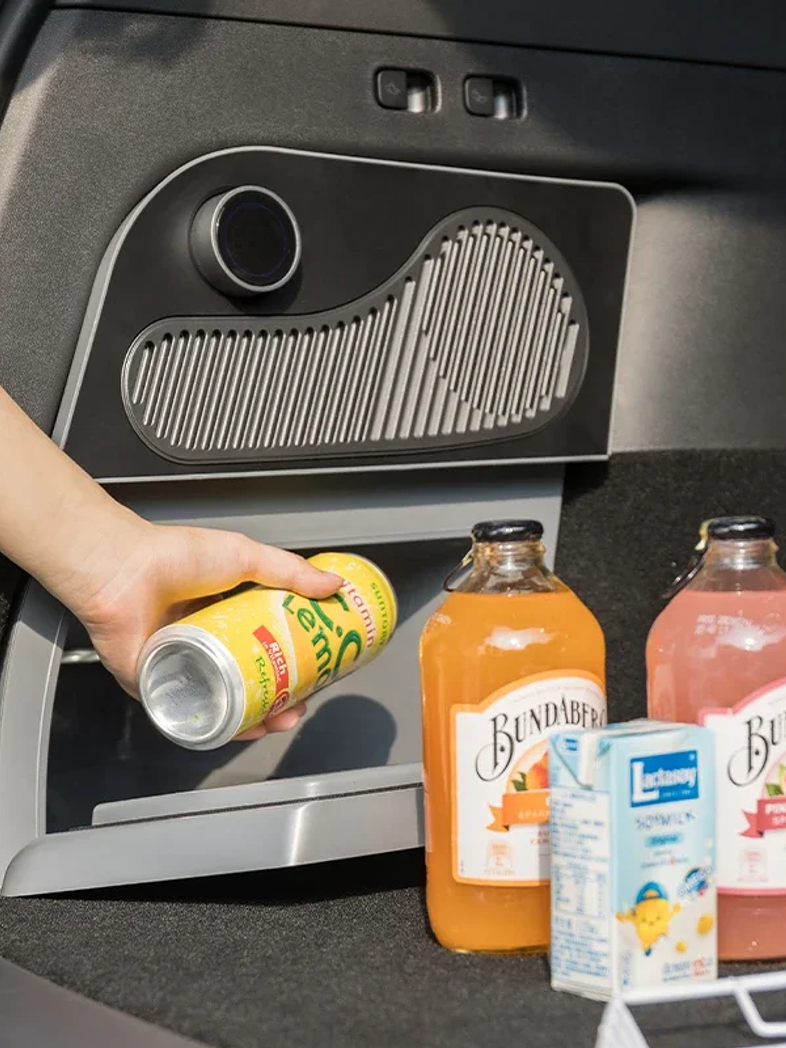 Tesla Model Y & Highland 16L Car Fridge, Portable Compressor Freezer  3