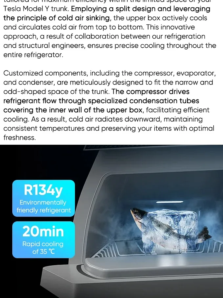 Tesla Model Y & Highland 16L Car Fridge, Portable Compressor Freezer  13