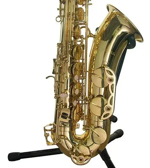 Saxo Alto Dorado con Estuche y Accesorios