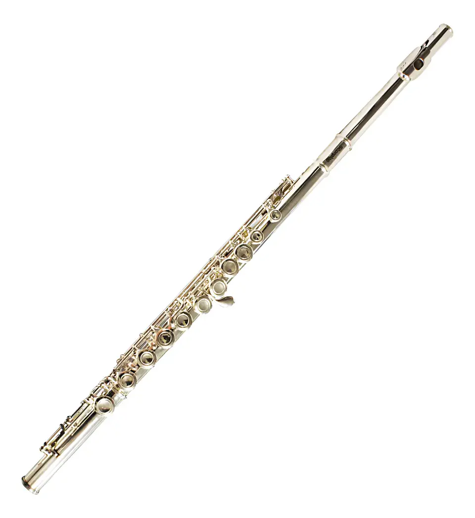 Flauta Traversa Etinger FLT-15 | Incluye Case y Accesorios 1
