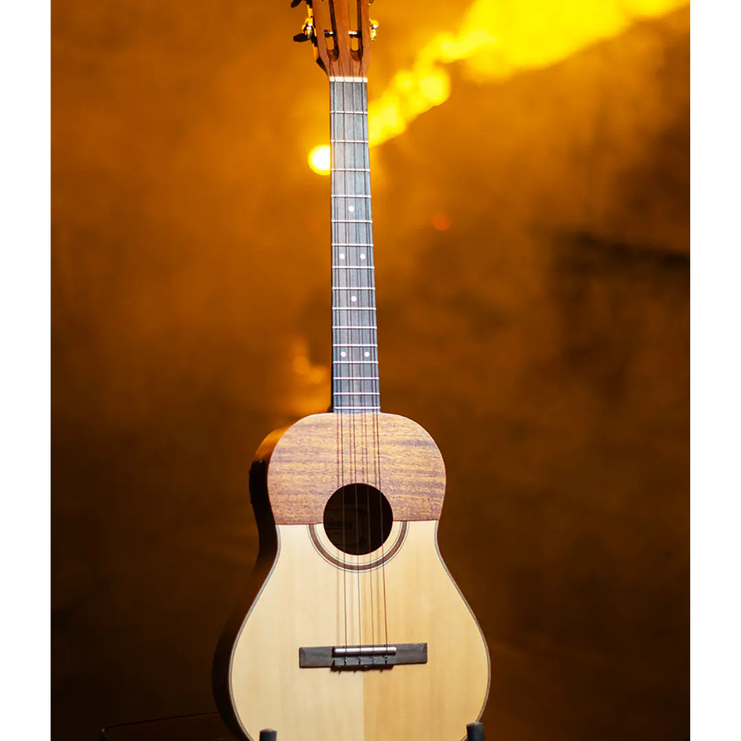 Cuatro venezolano con case CUATROV-C/CASE 2