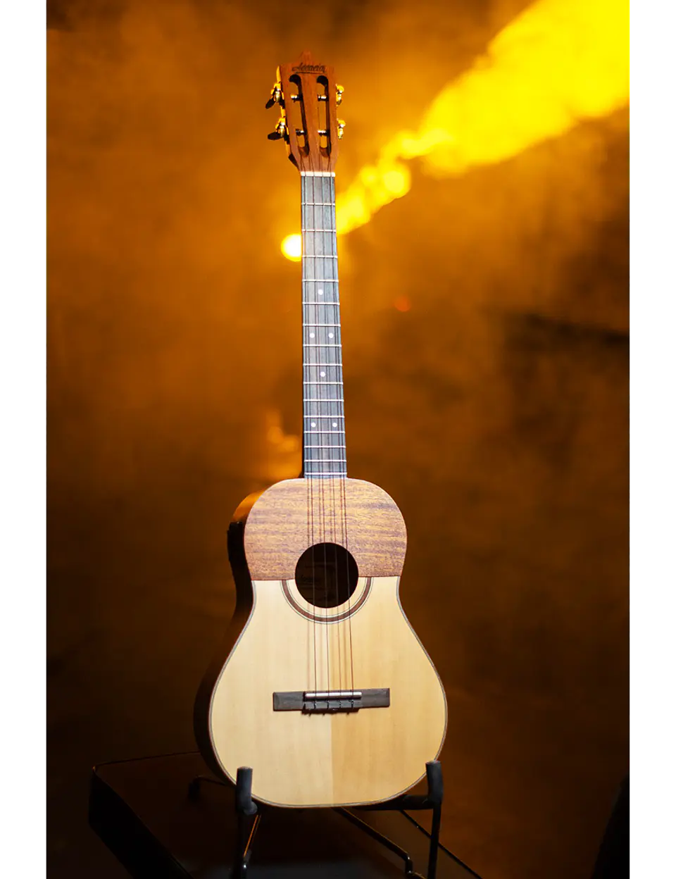 Cuatro venezolano con case CUATROV-C/CASE 2