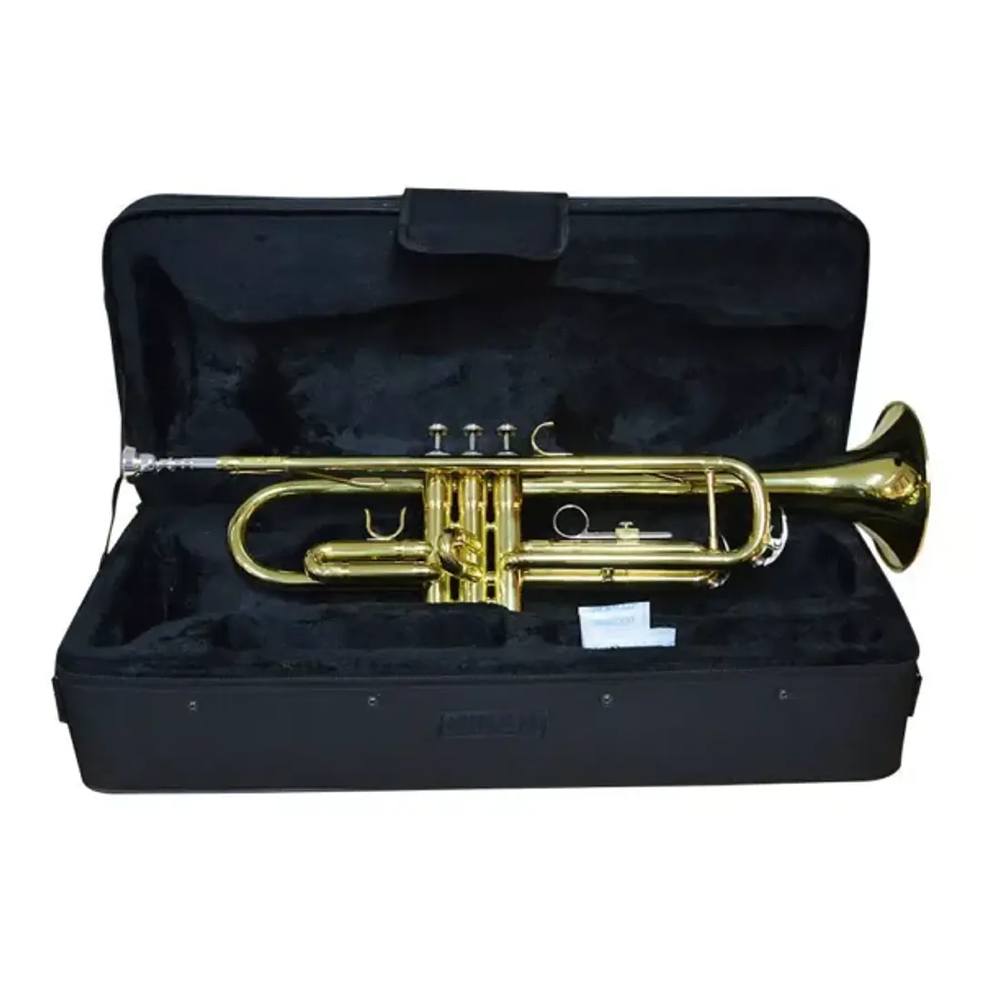 Trompeta Hendrix dorada con estuche 1