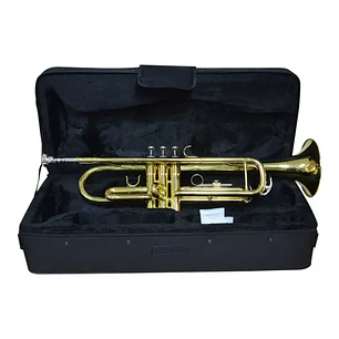 Trompeta Hendrix dorada con estuche