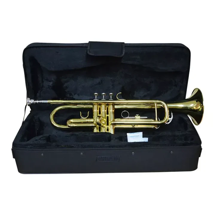 Trompeta Hendrix dorada con estuche 1