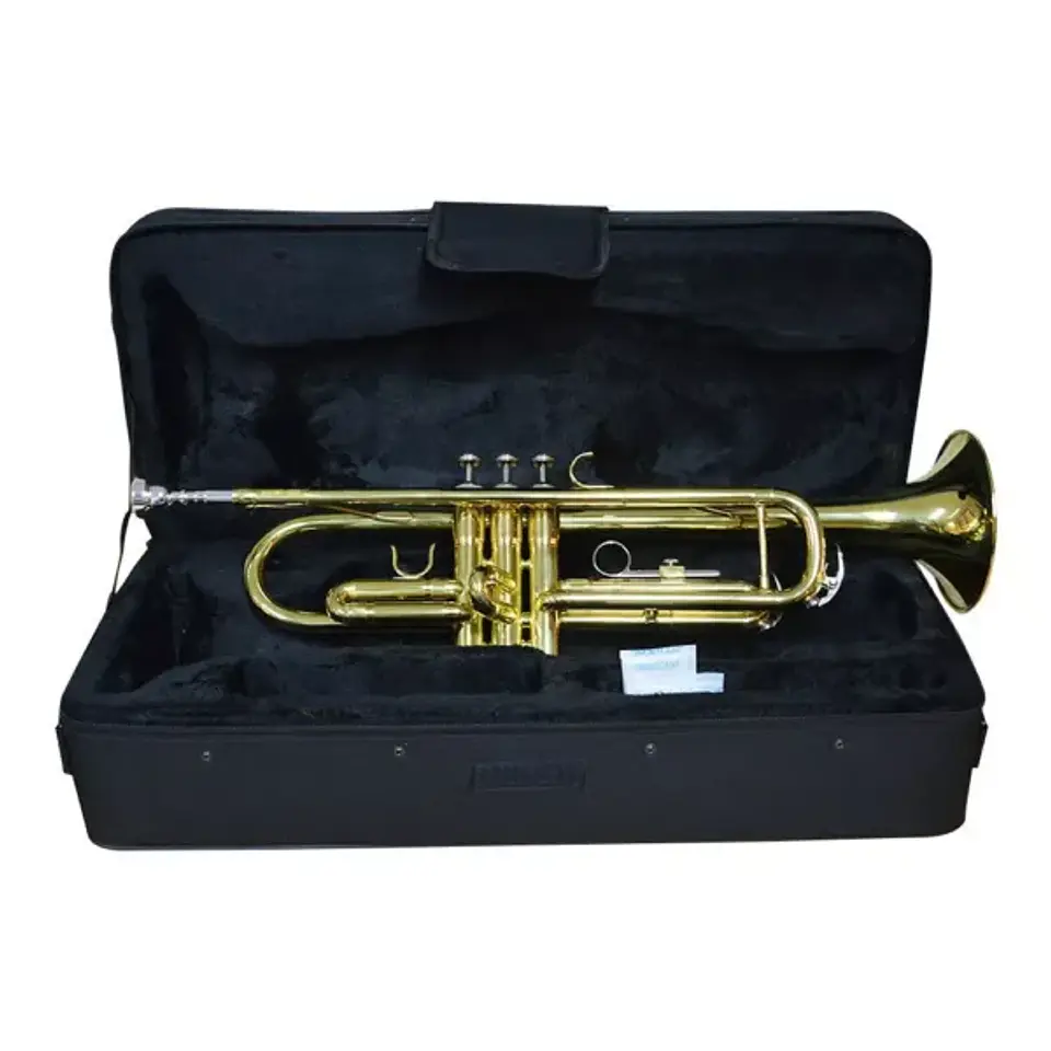 Trompeta Hendrix dorada con estuche 1