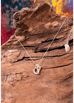 Sea Heart Whelk Necklace