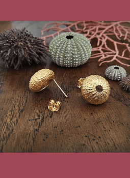 Sea Urchin Earrings (M)