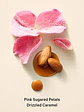 Bare Vanilla Whipped Fragrance Mist - Velvet Petals Whipped - Miniatura 2