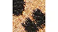 Estuche para tarjetas y llaveros Animal Print - Miniatura 2