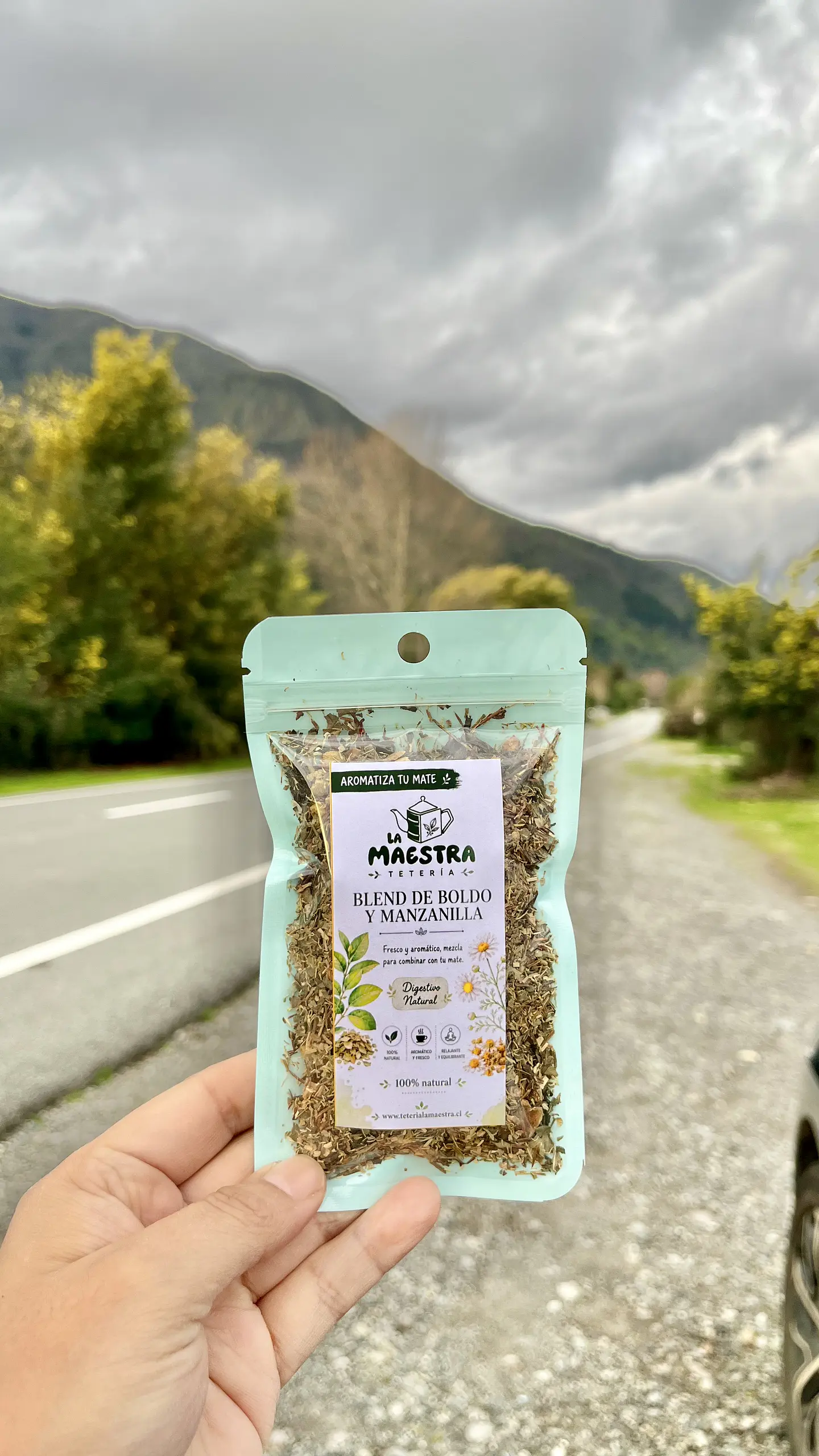 Blend Boldo y manzanilla 1