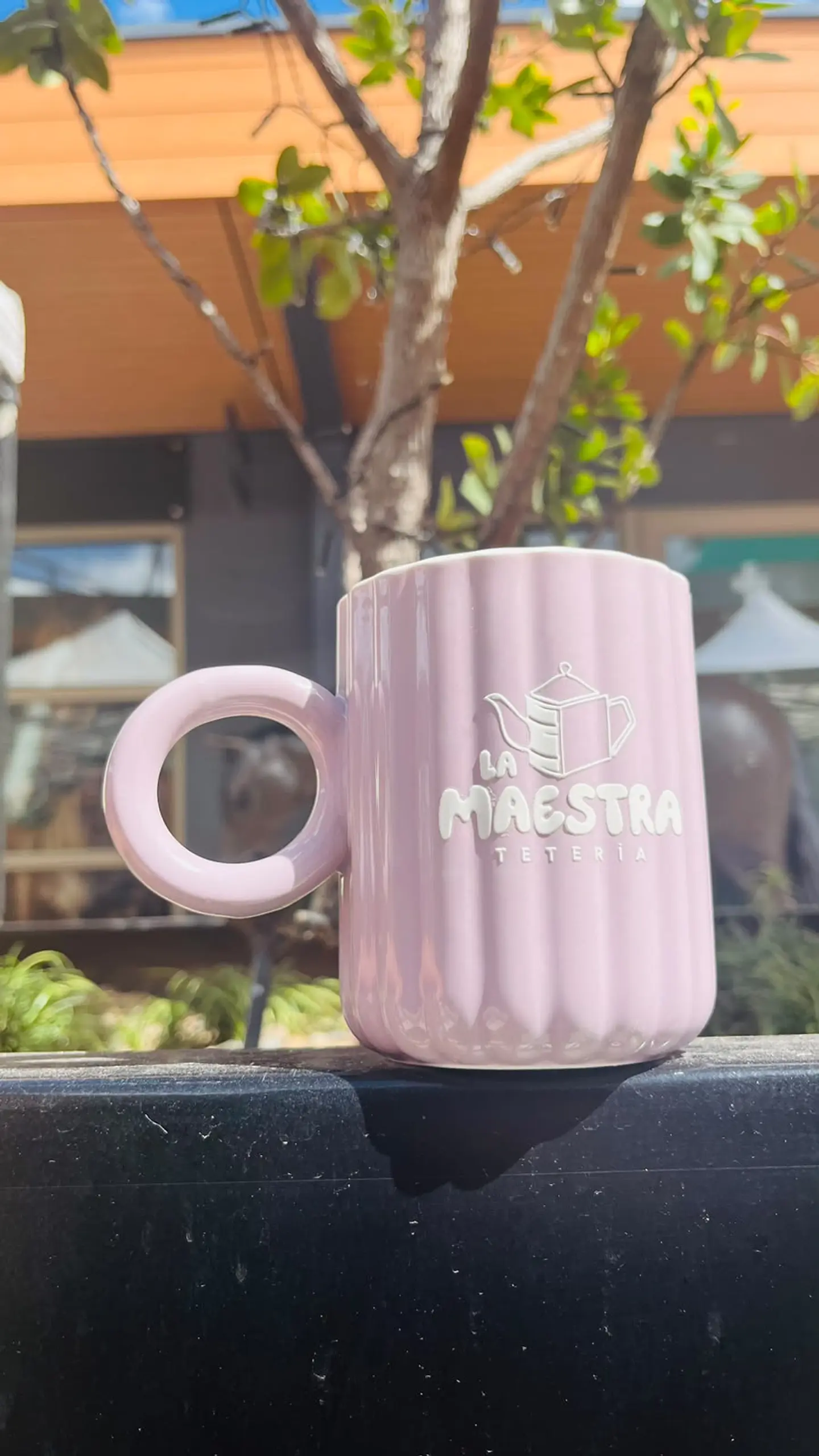 Taza mom 1
