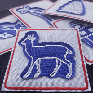 Juego memorice simbolos patrios