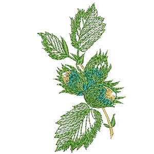 Matriz hojas vara con frutos #1