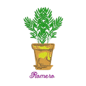 Matriz primavera #10 romero