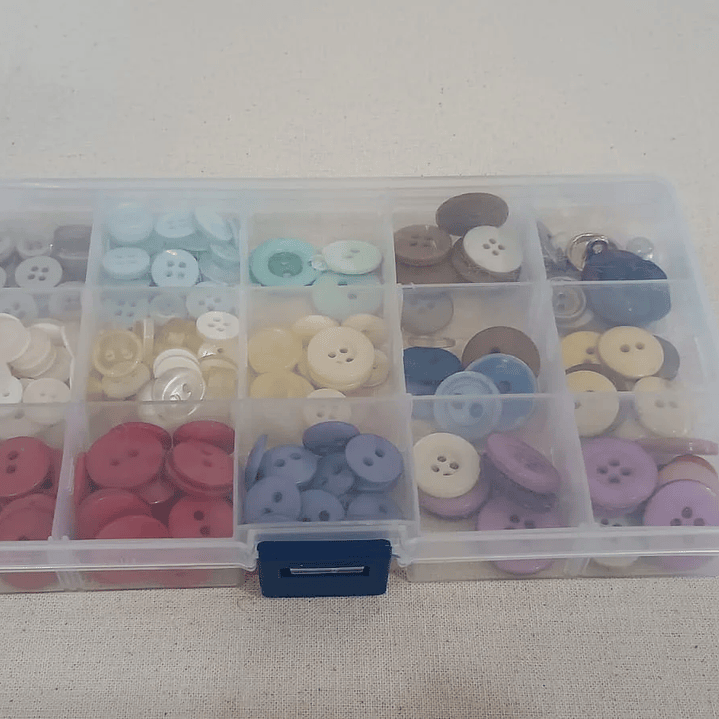 Caja plastica con divisiones 9