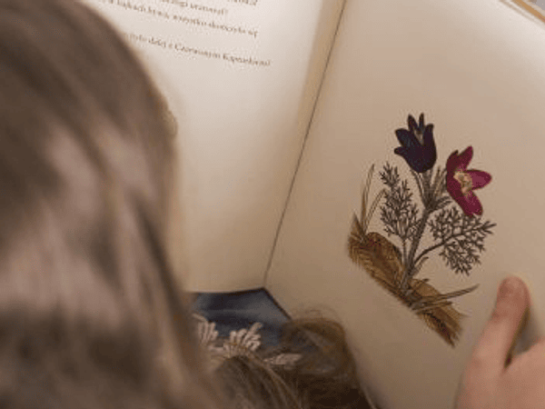 La Lectura como Puente para el Pensamiento Crítico