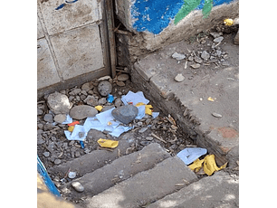 Un problema : la basura