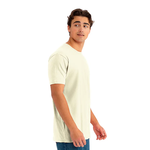Polera Cuello Redondo / Next Level Apparel 3600 15