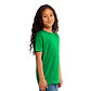 Polera de Niño Cuello Redondo / Next Level Apparel 3310 - Miniatura 8