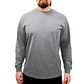 Polera Relaxed Fit / Elements T-200 - Manga Larga  - Miniatura 4