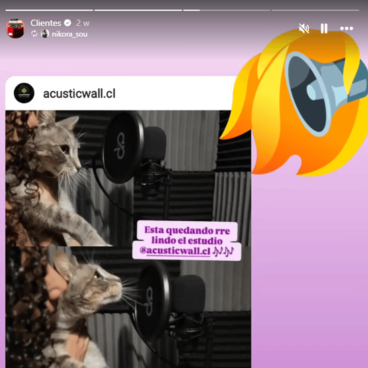 Proceso de instalación de espumas acústicas AcusticWall en estudio de grabación, cliente satisfecho con el resultado